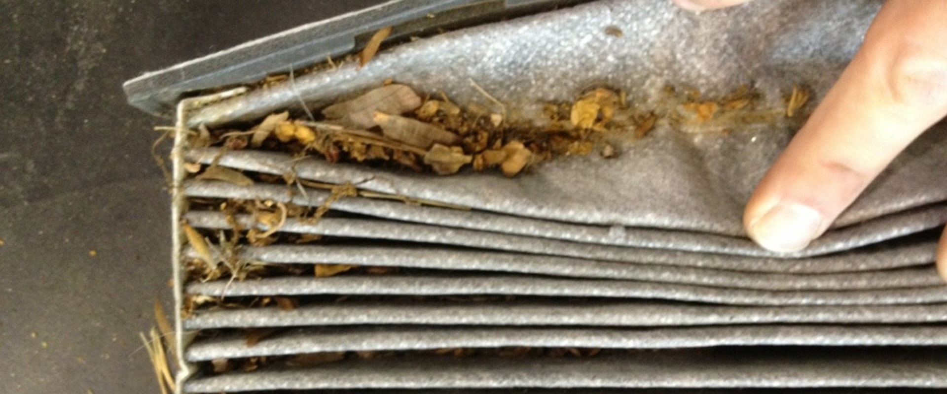 How Often Should You Change Your Air Filter?